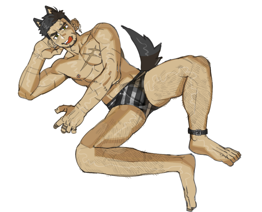 1boy abs animal_ears bara barbell_piercing black_male_underwear blush briefs bulge come_hither dog_boy dog_ears dog_tail from_above full_body grey_male_underwear leg_hair looking_at_viewer lying male_focus male_underwear multicolored_male_underwear muscular muscular_male navel nipples on_back open_mouth original pectorals piercing sanpaku seductive_smile short_hair smile solo spread_legs striped_male_underwear tail thick_eyebrows thighs topless_male underwear uza_(hellme)