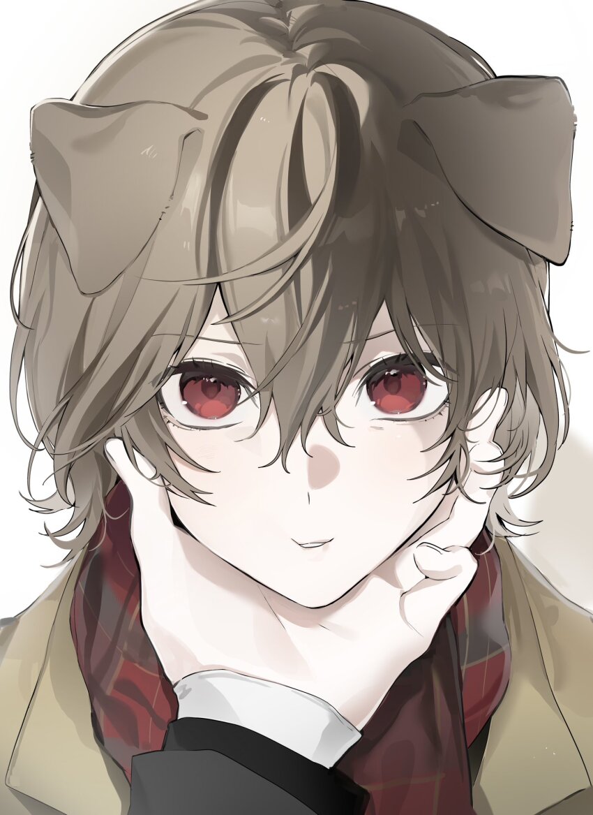 2boys akechi_gorou amamiya_ren animal_ears brown_hair brown_jacket cheek_squash commentary dog_boy dog_ears dong9rang hair_between_eyes hand_on_another&#039;s_face highres jacket kemonomimi_mode looking_at_viewer male_focus multiple_boys out_of_frame parted_lips persona persona_5 portrait pov pov_hands red_eyes red_scarf scarf short_hair simple_background solo_focus straight-on symbol-only_commentary white_background