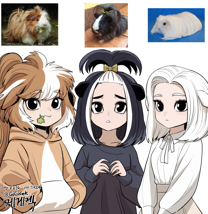 3girls :&lt; :3 absurdres animal_ears artist_name black_eyes black_hair bob_cut bow breasts brown_hair brown_hoodie collarbone creature_and_personification eating expressionless eyelashes gegegekman guinea_pig guinea_pig_girl hair_bow hair_pulled_back hands_in_pockets high_ponytail highres hood hood_down hoodie korean_text leaf_in_mouth long_hair looking_at_viewer medium_hair messy_hair mouth_hold multicolored_hair multiple_girls original own_hands_together parted_lips personification photo-referenced ponytail raised_eyebrows reference_inset side-by-side signature small_breasts streaked_hair thick_eyebrows topknot translated twitter_username two-tone_hair two-tone_hoodie w_arms white_hair white_hoodie white_streaks yellow_bow