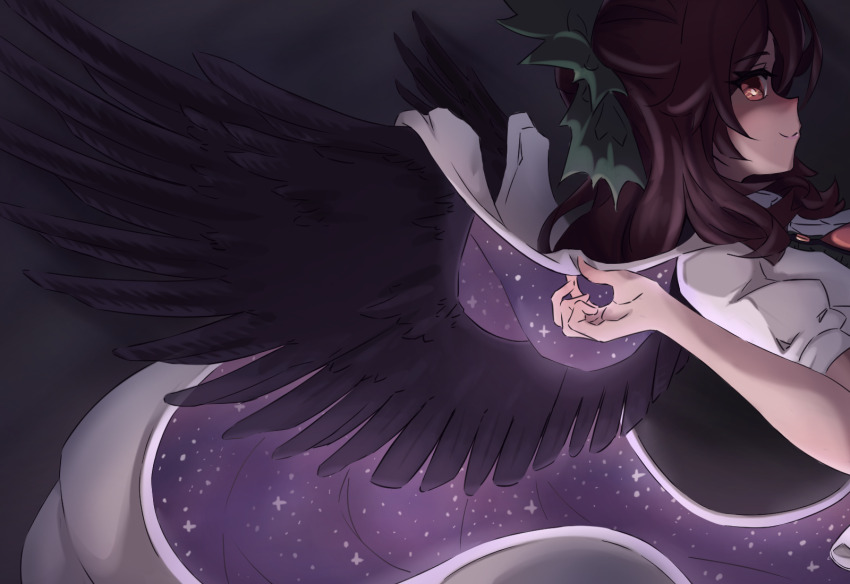1girl alteredalias black_wings brown_hair commentary english_commentary from_side highres long_hair night night_sky puffy_short_sleeves puffy_sleeves red_eyes reiuji_utsuho short_sleeves sky solo star_(sky) starry_sky touhou wings