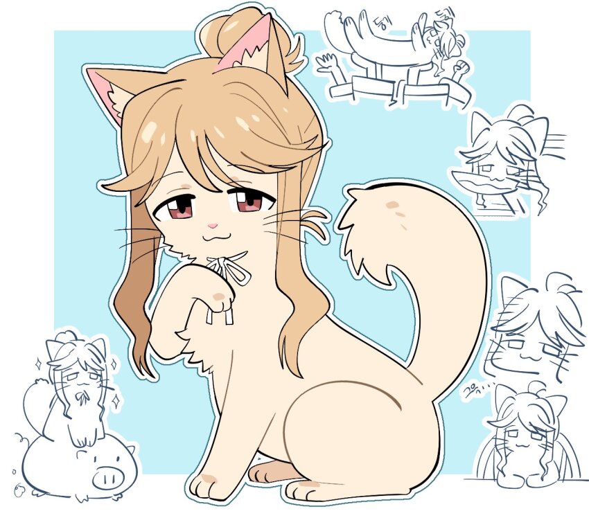 :3 animal animal_focus animalization blue_background border brown_cat brown_eyes brown_hair cat closed_mouth full_body hair_bun idolmaster idolmaster_million_live! looking_at_viewer millcookie_pro neck_ribbon outline pig ribbon sidelocks simple_background single_hair_bun sitting smug solo_focus tenkuubashi_tomoka white_border white_outline white_ribbon