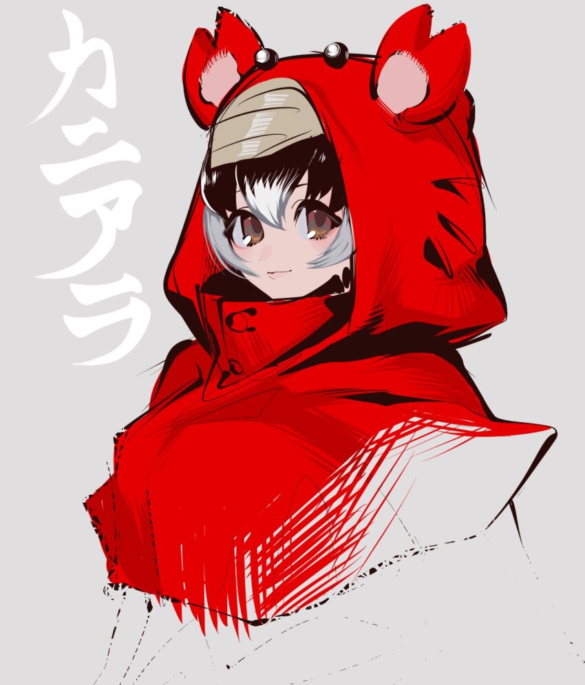 1girl animal_hood brown_eyes brown_hair closed_mouth crab-eating_raccoon_(kemono_friends) cropped_torso grey_hair highres hood hood_up kemono_friends light_smile looking_at_viewer multicolored_hair notora sketch solo white_hair