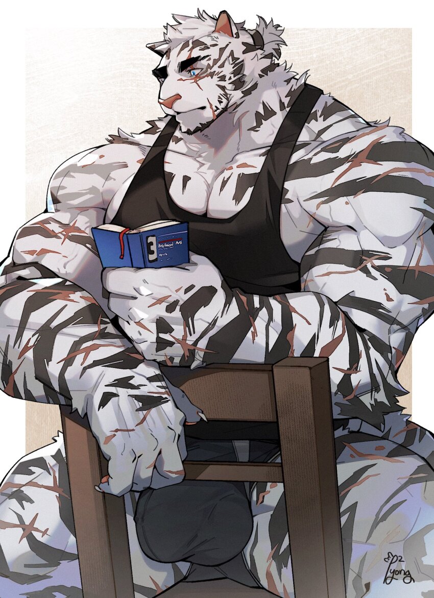 1boy animal_ears arknights artist_name bara black_male_underwear blue_eyes book bulge claws closed_mouth commentary_request cross_scar facial_scar furry furry_male highres holding holding_book korean_commentary male_focus male_underwear mountain_(arknights) multiple_scars muscular muscular_male on_chair open_book pawpads pectorals ponytail ppyong reading scar scar_across_eye scar_on_arm scar_on_cheek scar_on_chest scar_on_chin scar_on_face scar_on_hand scar_on_leg scar_on_shoulder scar_on_tail sitting tail tiger_boy tiger_ears tiger_stripes tiger_tail underwear