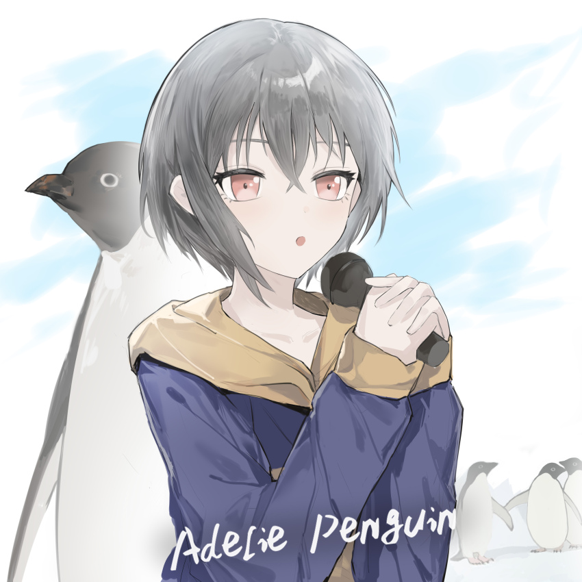 1girl absurdres anli_(jwcpp4sum0mgk5r) bang_dream! bang_dream!_it&#039;s_mygo!!!!! bird blue_hoodie brown_eyes commentary crossed_bangs english_commentary grey_hair highres holding holding_microphone hood hood_down hoodie long_sleeves microphone open_mouth penguin short_hair sidelocks sleeves_past_wrists solo takamatsu_tomori