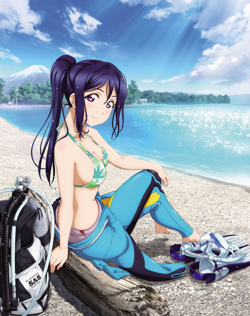 1girl artbook bag barefoot beach bikini bikini_top_only blue_sky blush bodysuit breasts cleavage cloud day diving_suit english_text hand_on_own_knee highres leaf leaf_print long_hair looking_at_viewer love_live! love_live!_sunshine!! maple_leaf maple_leaf_print matsuura_kanan medium_breasts mount_fuji mountain non-web_source ocean official_art outdoors ponytail print_bikini purple_eyes purple_hair shoes sitting sky smile sneakers solo sunlight swimsuit unworn_shoes utility_pole wet wetsuit