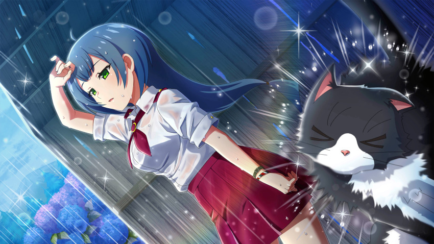 &gt;_&lt; 1girl ahoge animal arm_over_head arm_up black_cat blue_eyes blue_hair blurry bracelet bus_stop cat collared_shirt cowboy_shot depth_of_field dutch_angle flower from_side game_cg glint green_eyes highres higurashi_no_naku_koro_ni higurashi_no_naku_koro_ni_mei hydrangea jewelry kurosawa_chisame lens_flare long_hair miniskirt neckerchief non-web_source official_art outdoors pleated_skirt purple_flower rain red_neckerchief red_skirt school_uniform shirt short_sleeves skirt solo standing taking_shelter water_drop wet wet_clothes wet_hair wet_shirt wet_skirt white_shirt