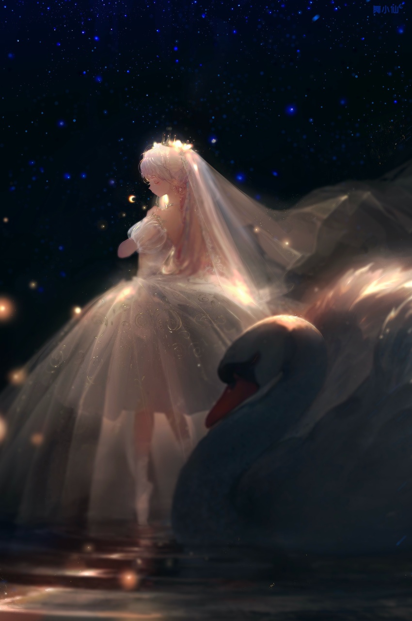 1girl animal ballerina ballet ballet_slippers bare_shoulders bird black_background blurry closed_eyes commentary crescent dancing dark depth_of_field dress en_pointe eyelashes from_side hair_ornament hairband highres jewelry layered_dress light_particles long_hair necklace off-shoulder_dress off_shoulder original plantar_flexion profile puffy_short_sleeves puffy_sleeves ripples see-through_clothes short_sleeves silver_hair solo standing standing_on_liquid standing_on_one_leg swan symbol-only_commentary tiara veil water white_dress white_footwear wu_xiao_xian