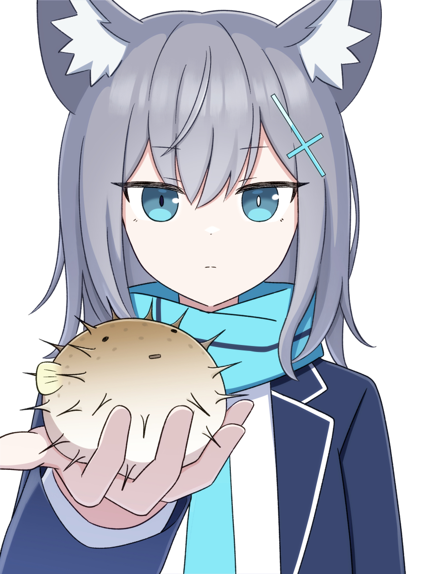 1girl absurdres animal animal_ear_fluff animal_ears black_jacket blue_archive blue_eyes blue_scarf closed_mouth cross_hair_ornament fish grey_hair hair_ornament highres holding holding_animal holding_fish ikurage_(namakurage_13) jacket long_hair looking_at_viewer mismatched_pupils puffer_fish scarf school_uniform shiroko_(blue_archive) simple_background solo upper_body white_background wolf_ears