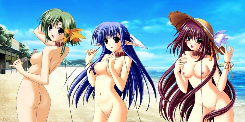 00s 3girls ass back bdsm beach blue_hair blush breasts brown_hair collar green_hair hat leash lisianthus long_hair multiple_girls nerine nipples nude nude_filter ocean outdoors pointy_ears purple_eyes pussy red_eyes ribbon shigure_asa short_hair shuffle! sideboob slave straw_hat third-party_edit uncensored yellow_eyes
