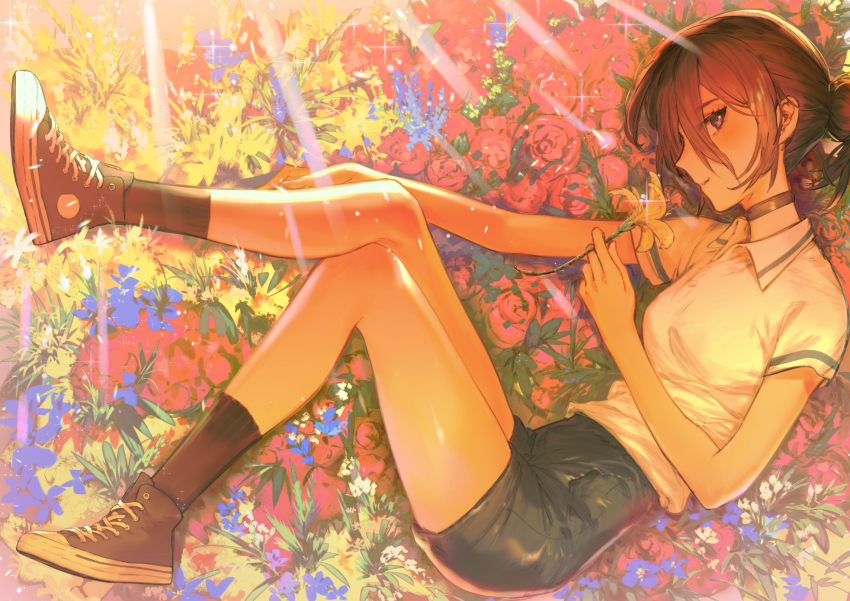 1girl ashorz black_choker black_footwear black_socks blue_flower blue_shorts breasts brown_hair chainsaw_man choker collared_shirt commentary flower full_body grass hair_between_eyes hair_bun high-waist_shorts highres holding holding_flower light_rays looking_at_viewer lying medium_breasts medium_hair on_side plant red_flower reze_(chainsaw_man) shirt shorts single_hair_bun socks solo white_shirt yellow_flower