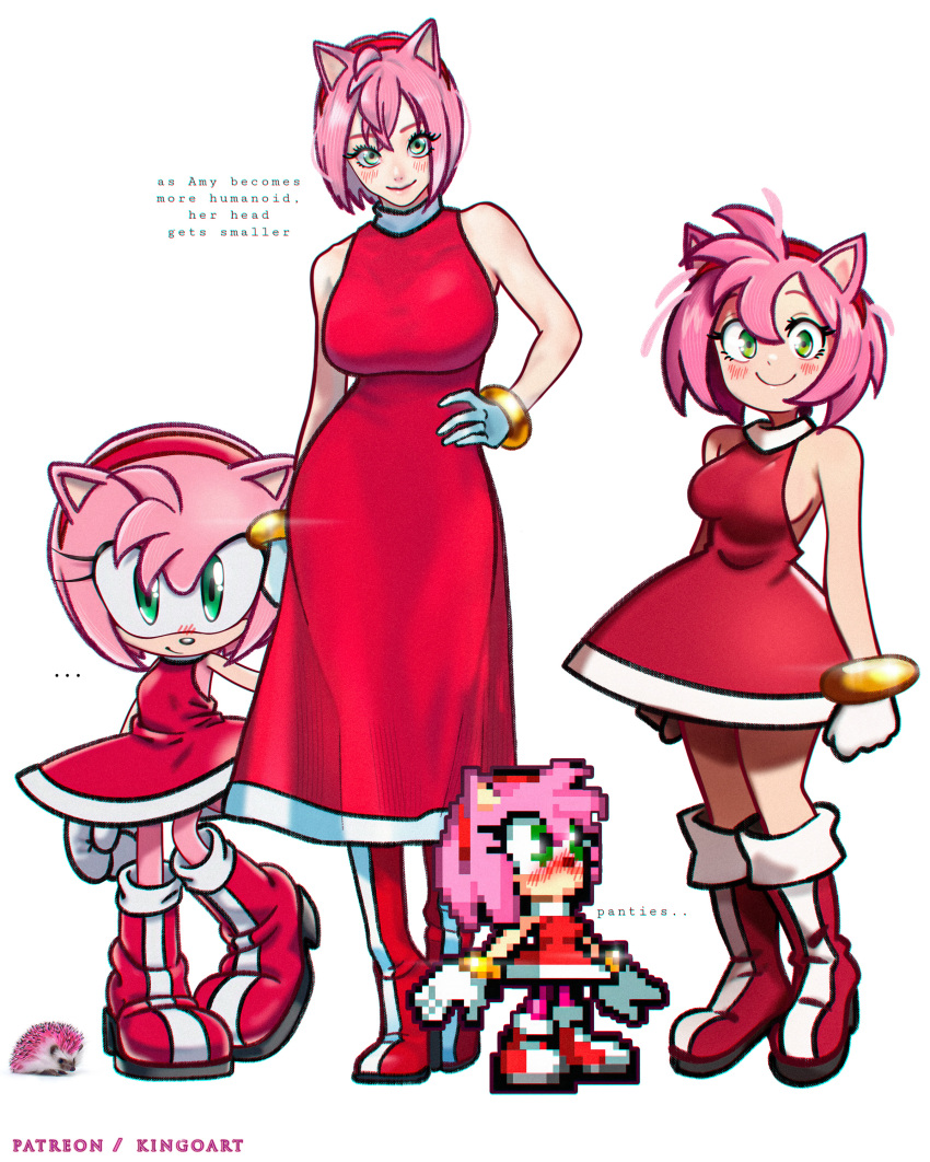 4girls absurdres amy_rose animal_ears blush boots bracelet dress furry furry_female gloves green_eyes hairband highres jewelry multiple_girls pink_fur pink_hair pixel_art sega sonic_(series) stepkingo_art
