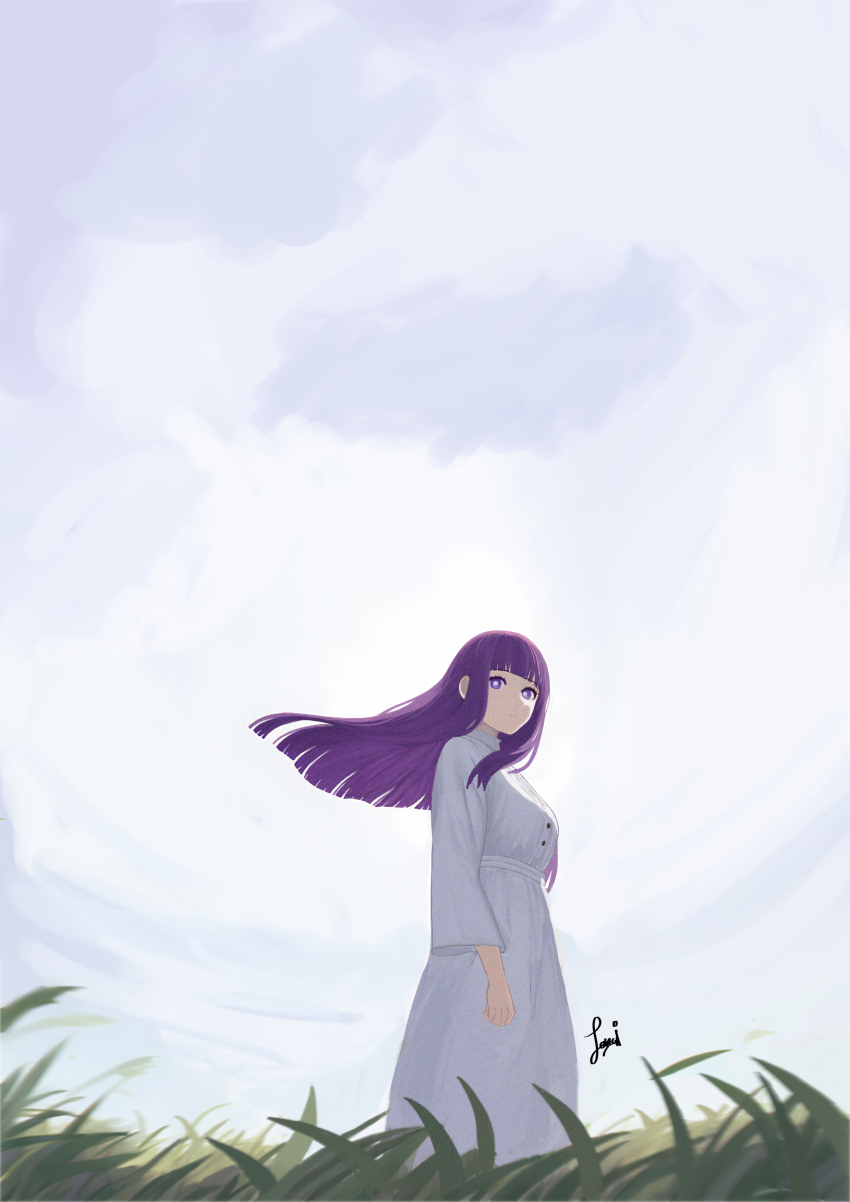 1girl absurdres blunt_bangs dress fern_(sousou_no_frieren) grass highres joadv long_hair long_sleeves outdoors overcast purple_eyes purple_hair sky solo sousou_no_frieren standing white_dress