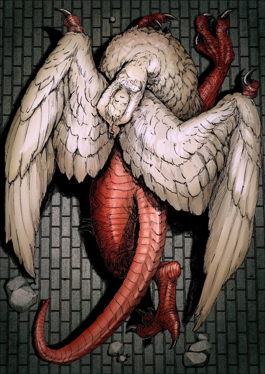 1girl bent_over_backwards body_fur breasts centauroid chimera claws cleavage dragon_tail dungeon_meshi falin_touden falin_touden_(chimera) feathered_wings feathers head_back highres jsn6986 looking_at_viewer medium_breasts monster_girl red_scales short_hair solo spoilers tail talons taur white_feathers wings