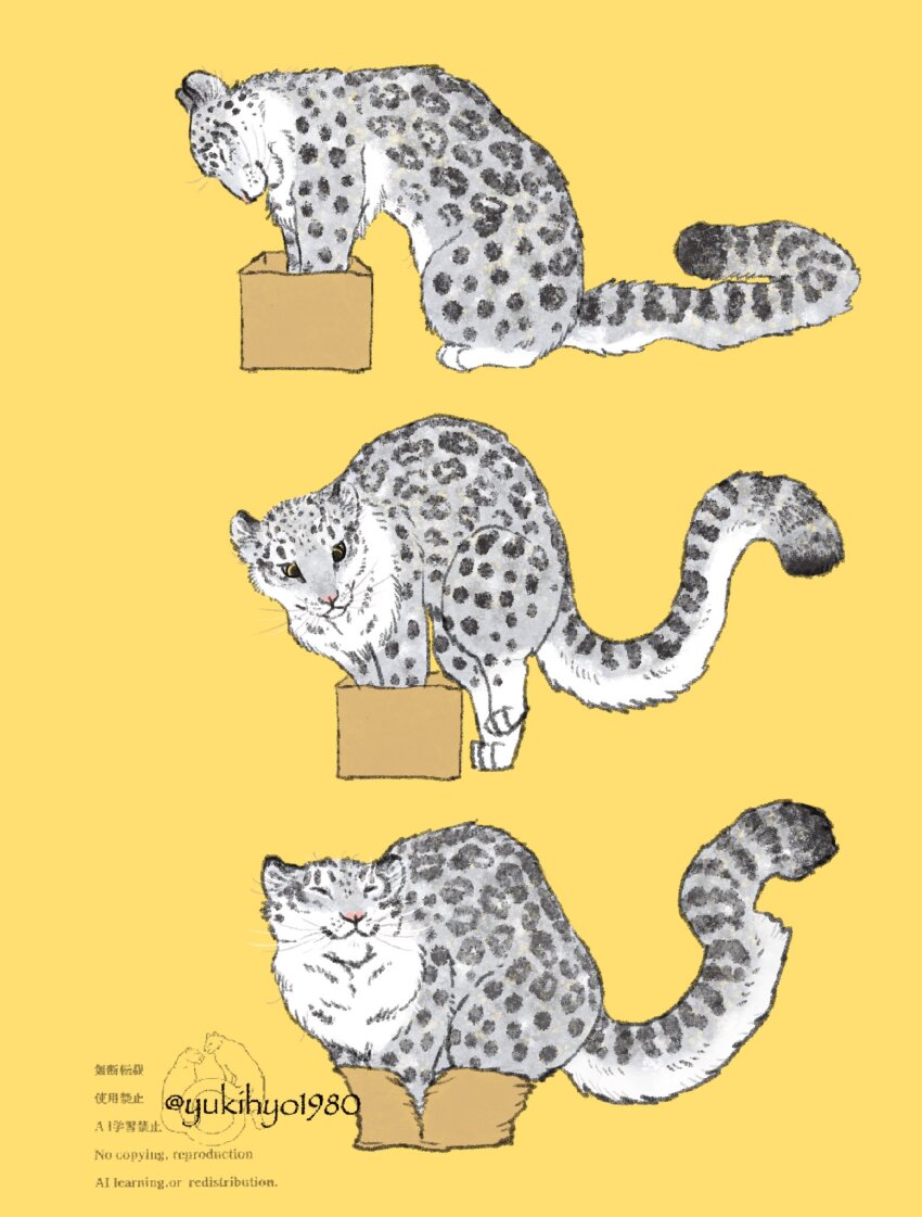 animal_focus box closed_eyes full_body highres in_box in_container leopard no_humans original snow_leopard snow_leopard_tail twitter_username whiskers yellow_background yukihyo1980
