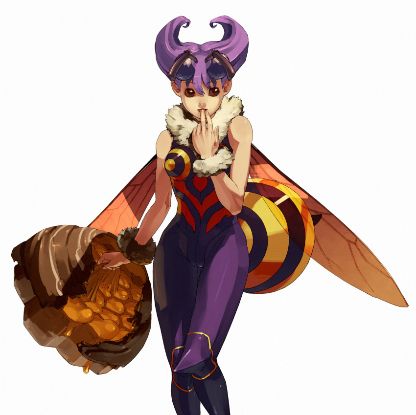 1girl antennae arthropod_girl bee_girl brown_eyes capcom darkstalkers female_focus highres insect_girl monster_girl pantyhose purple_hair q-bee shihou_(g-o-s) short_hair simple_background solo wings