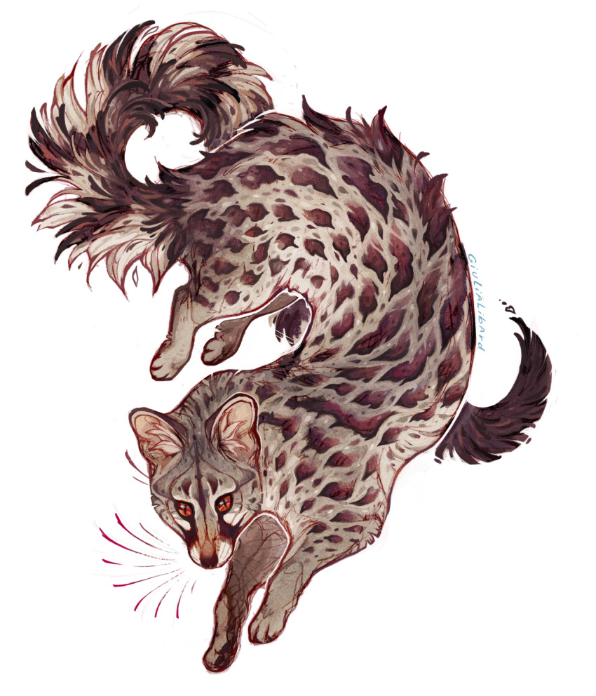 animal animal_ear_fluff animal_focus brown_eyes brown_fur fluffy full_body genet giulialibard highres long_body no_humans original simple_background solo spotted_fur whiskers white_background