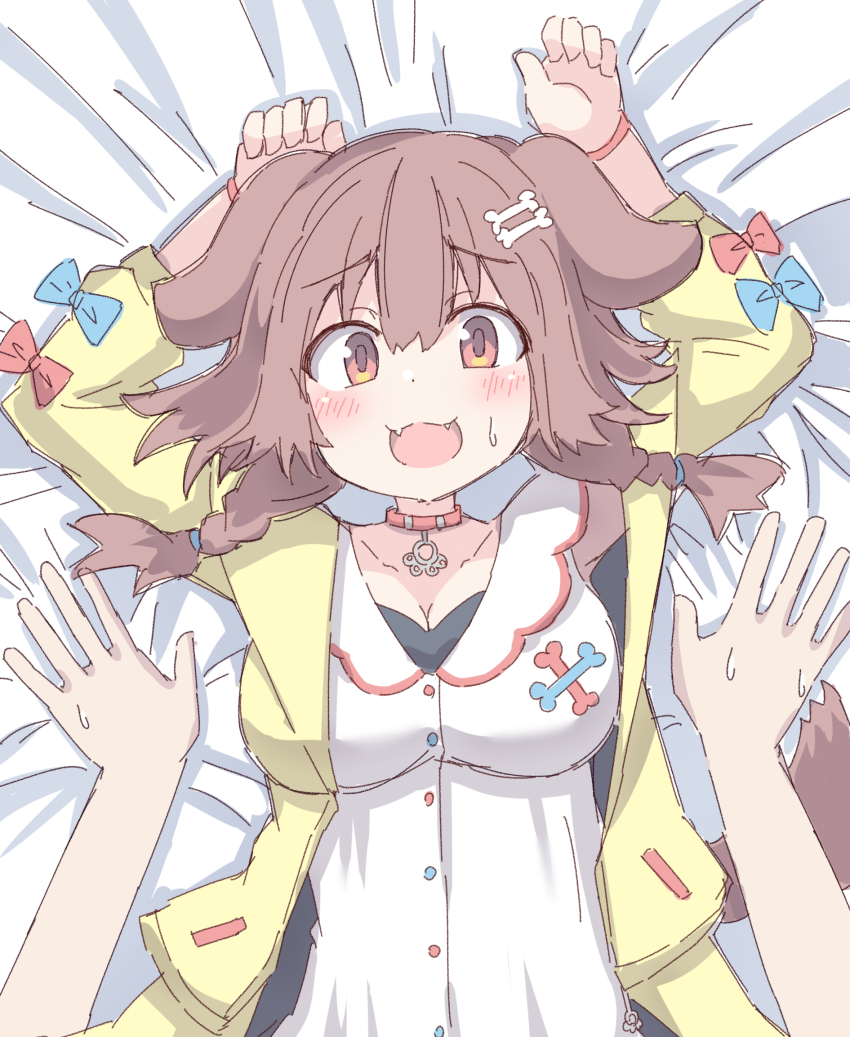 1girl 1other animal_ears arms_up bed_sheet blue_bow blush bone_hair_ornament bow braid breasts brown_eyes brown_hair cartoon_bone cleavage collar collarbone commentary_request dog_ears dog_girl dog_tail dress fangs hair_between_eyes hair_ornament hair_over_shoulder highres hololive hood hood_down hooded_jacket inugami_korone inugami_korone_(1st_costume) jacket long_sleeves lying medium_breasts off_shoulder on_back open_clothes open_jacket open_mouth puffy_long_sleeves puffy_sleeves red_bow red_collar sleeveless sleeveless_dress small_sweatdrop solo_focus sweat tail twin_braids umberblack virtual_youtuber white_dress yellow_jacket
