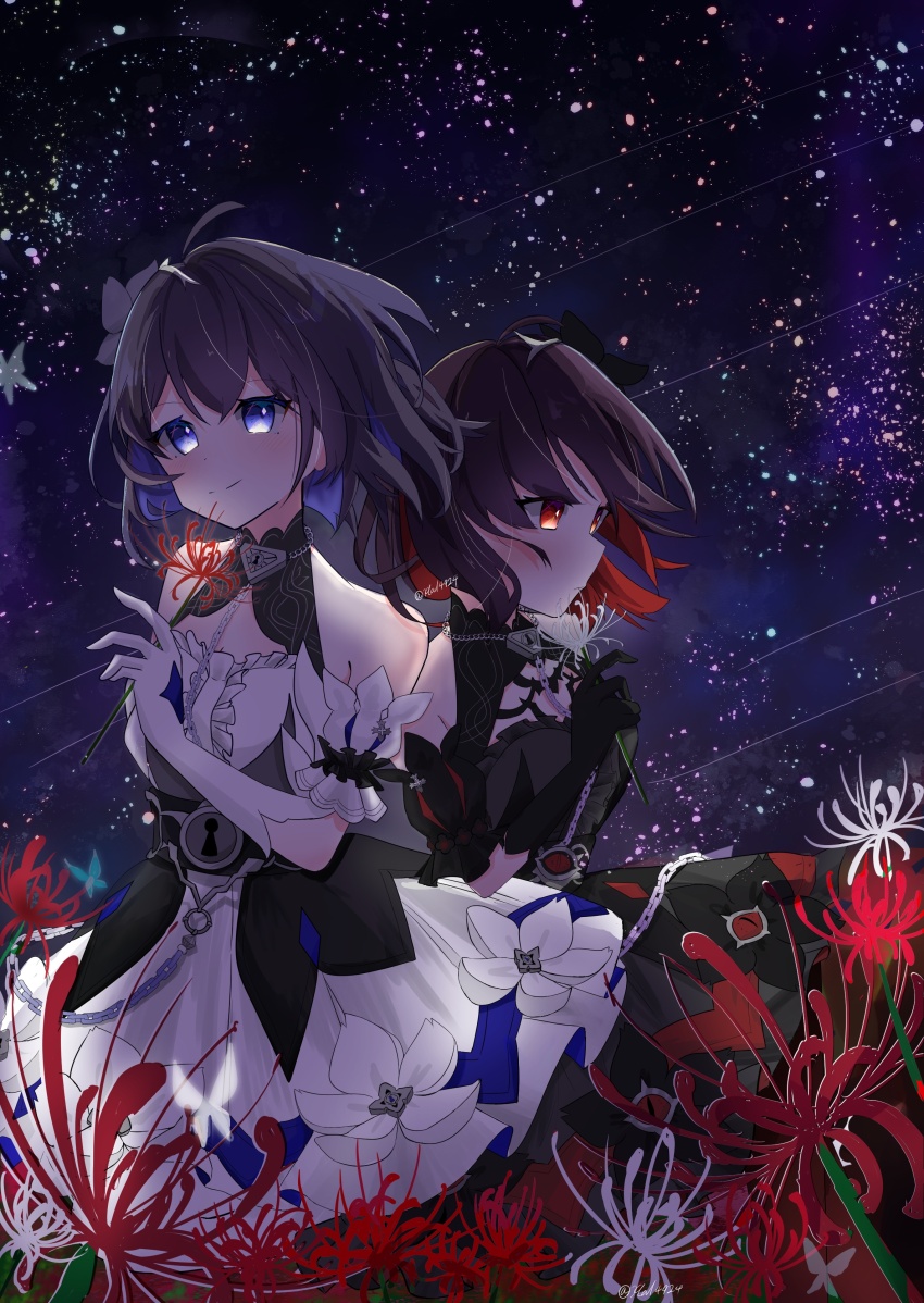 2girls absurdres bare_shoulders black_dress black_gloves black_hair blue_eyes blue_hair closed_mouth colored_inner_hair commentary_request detached_sleeves dress dress_flower elbow_gloves expressionless field flower flower_field gloves hal4924 halter_dress halterneck highres holding holding_flower honkai_(series) honkai_impact_3rd multicolored_hair multiple_girls night night_sky outdoors red_eyes red_hair seele_(alter_ego) seele_vollerei seele_vollerei_(stygian_nymph) short_sleeves sky smile spider_lily star_(sky) white_dress white_flower white_gloves white_sleeves white_spider_lily