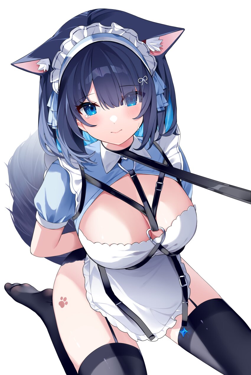 1girl absurdres animal_ear_fluff animal_ears apron arms_behind_back between_breasts black_thighhighs blue_dress blue_eyes blue_hair blush breasts cat_ears cat_girl cat_tail chest_harness cleavage collared_dress colored_inner_hair commentary_request dress duchi0356 eyes_visible_through_hair frilled_apron frilled_dress frilled_hairband frills from_above garter_straps hair_between_eyes hair_ornament hairband harness heart heart_o-ring highres large_breasts leash looking_at_viewer maid maid_apron maid_headdress multicolored_hair o-ring original paw_print paw_print_pattern seiza short_hair simple_background sitting solo strap tail thighhighs thighs white_apron white_background