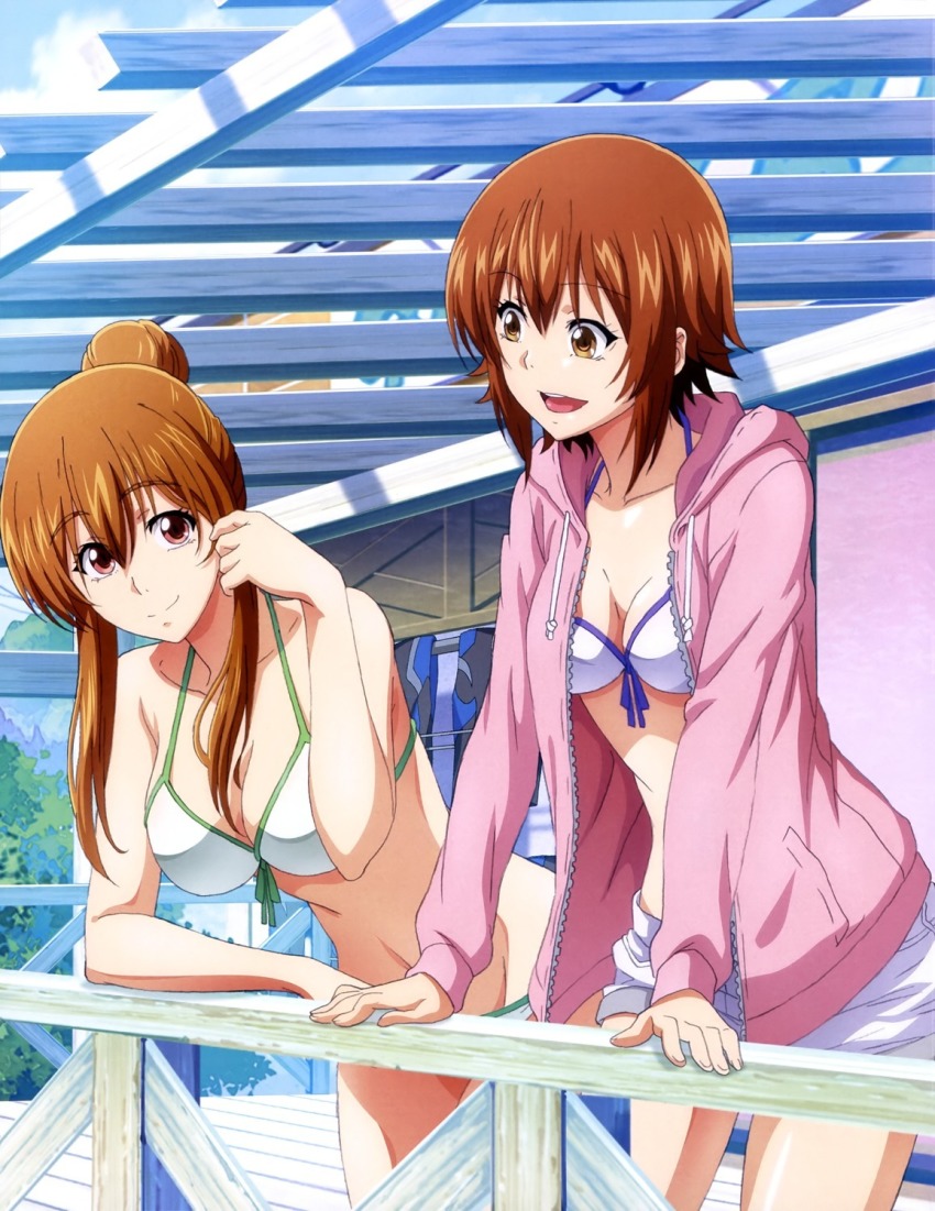 10s 2girls bikini breasts brown_eyes brown_hair grand_blue highres kotegawa_chisa kotegawa_nanaka long_hair medium_breasts multiple_girls scan short_hair swimsuit