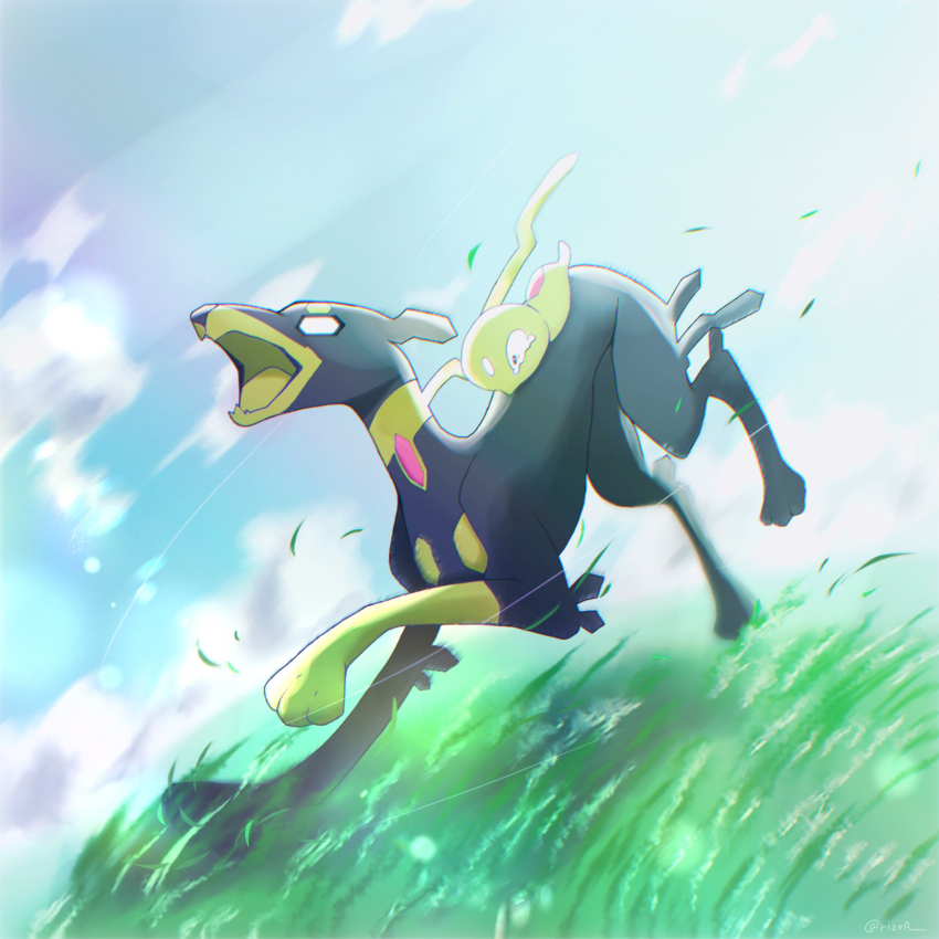 animal_focus black_eyes blank_eyes blue_sky chromatic_aberration cloud constricted_pupils day dog full_body gen_6_pokemon grass highres legendary_pokemon nintendo no_humans open_mouth outdoors pokemon pokemon_(creature) pokemon_focus riding rize_(r) running sky tears white_eyes wide-eyed zygarde zygarde_(10%) zygarde_core