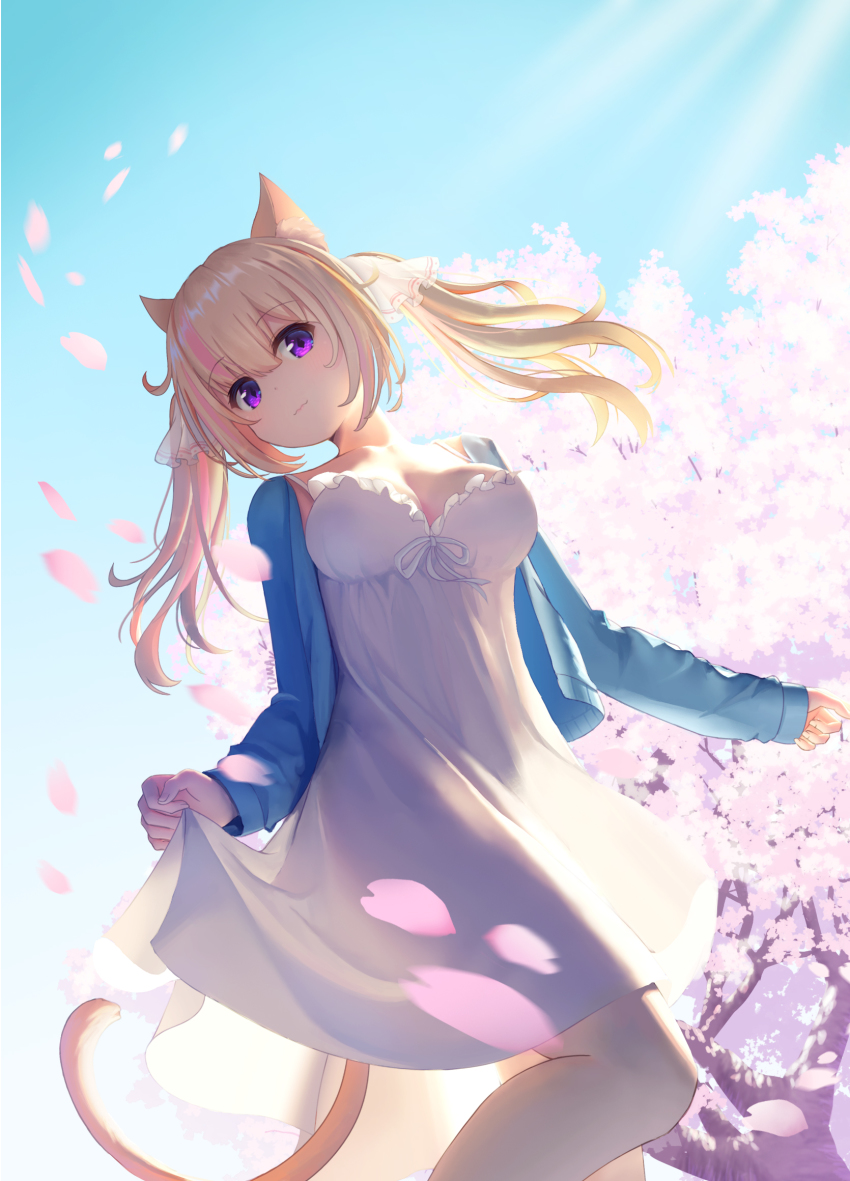 1girl animal_ear_fluff animal_ears artist_name blonde_hair blue_jacket blue_sky breasts cat_ears cat_girl cat_tail cherry_blossoms cleavage closed_mouth collarbone day dress falling_petals flower hair_ribbon hanami highres jacket large_breasts long_hair long_sleeves looking_at_viewer open_clothes open_jacket original outdoors petals pink_flower purple_eyes ribbon skirt_hold sky smile solo spring_(season) standing tail tree twintails watermark white_dress white_ribbon wind yuma_(lyq_yume)