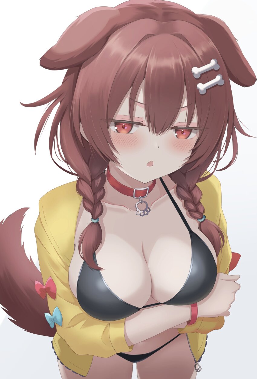 1girl absurdres animal_ears arms_under_breasts bikini black_bikini blush bone_hair_ornament braid breasts brown_eyes brown_hair cleavage collar commentary_request dog_ears dog_girl dog_tail hair_ornament highres hololive inugami_korone inugami_korone_(1st_costume) jacket large_breasts looking_at_viewer medium_hair nishiki_vx open_mouth red_collar solo swimsuit tail triangle_mouth twin_braids virtual_youtuber white_background yellow_jacket