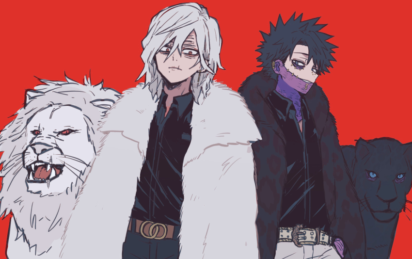 2boys ametaro_(ixxxzu) black_hair black_panther black_shirt blue_eyes boku_no_hero_academia burn_scar cheek_piercing coat dabi_(boku_no_hero_academia) face_piercing fur_coat grey_hair highres lion male_focus medium_hair multiple_boys multiple_scars panther piercing red_background red_eyes scar scar_on_face shigaraki_tomura shirt short_hair simple_background spiked_hair staple stapled wrinkled_skin
