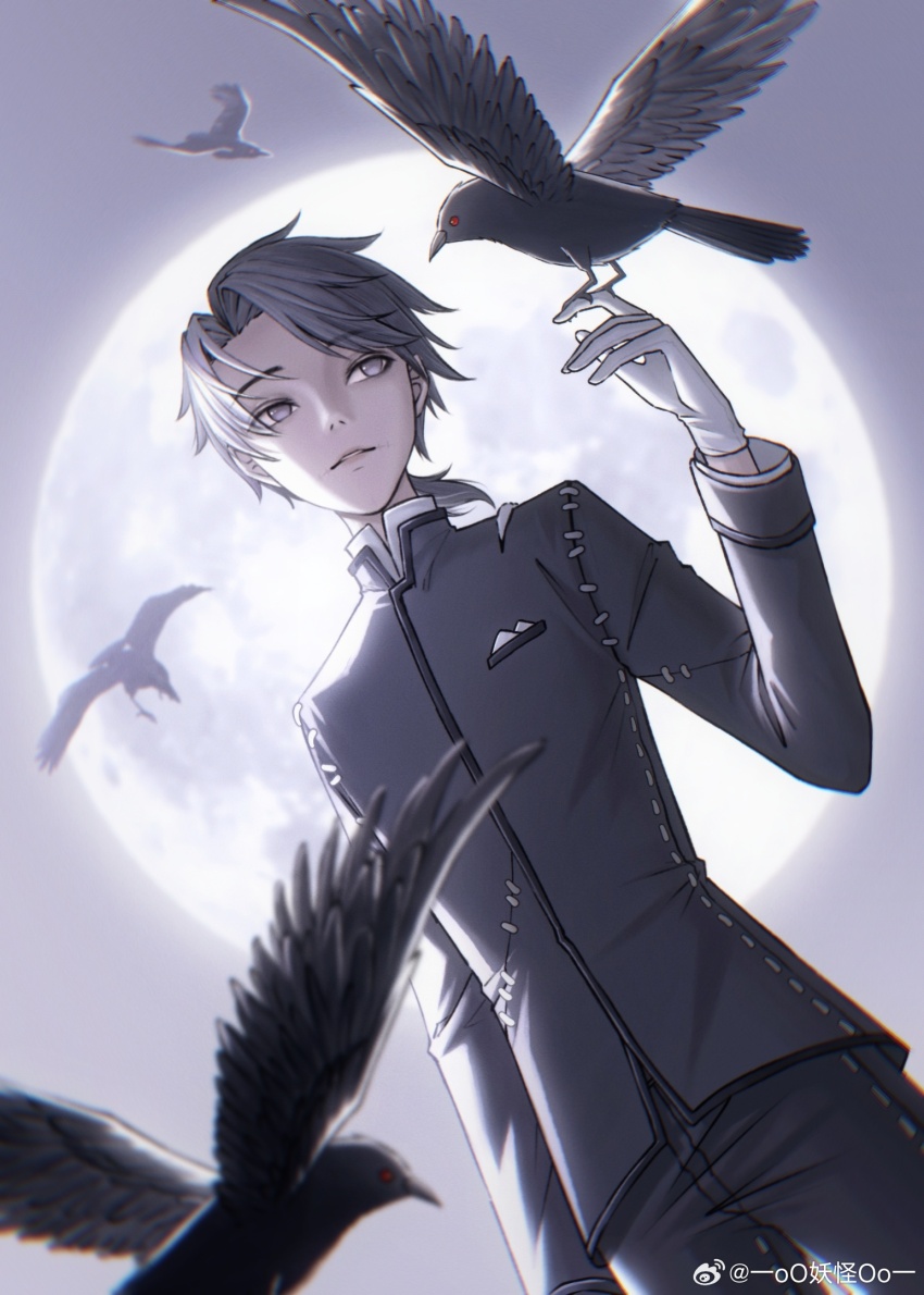 1boy aesop_carl bird bird_on_hand cowboy_shot crow curtained_hair dutch_angle full_moon gloves grey_eyes grey_hair grey_jacket grey_pants hand_up highres identity_v jacket long_sleeves looking_at_animal low_ponytail male_focus medium_hair moon night oomonsteroo pants parted_bangs parted_lips pocket_square ponytail sideways_glance sleeve_cuffs solo standing stitched_mouth stitches stuffing watermark weibo_watermark white_gloves