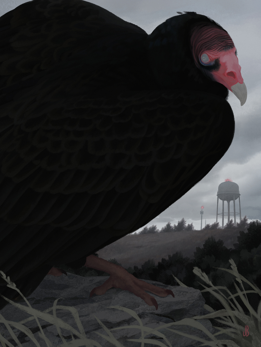 animal animal_focus beak bird black_bird black_feathers bush close-up cloud cloudy_sky colored_sclera colored_skin commentary dappermouth dark english_commentary feathers grass grey_background grey_eyes grey_sclera grey_sky highres hill horror_(theme) looking_at_viewer no_humans on_rock original outdoors pink_skin realistic rock sky standing vulture water_tower white_eyes wrinkled_skin