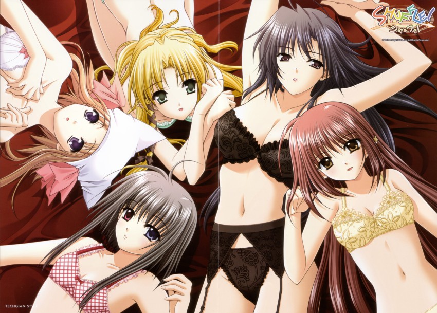 00s 5girls absurdres ahoge benibara_nadeshiko black_garter_belt black_panties bra breasts cleavage everyone garter_belt hair_spread_out half-closed_eyes hat heterochromia highres kareha lingerie lisianthus long_hair lying mayumi_thyme multiple_girls nishimata_aoi official_art official_wallpaper panties pointy_ears poster_(medium) scan scan_artifacts shigure_ama short_hair_with_long_locks shuffle! suzuhira_hiro teacher underwear underwear_only very_long_hair white_hat