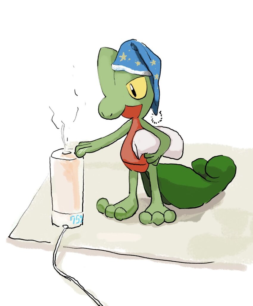 blue_hat closed_mouth commentary_request creatures_(company) full_body game_freak gen_3_pokemon hat highres holding holding_pillow koala_0l looking_down nightcap nintendo no_humans pillow pokemon pokemon_(creature) pokemon_focus solo standing treecko yellow_eyes
