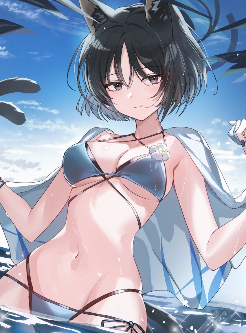 1girl absurdres animal_ears b_soyo1 bikini black_eyes blue_archive blue_bikini blue_halo breasts cat_ears cat_girl cat_tail closed_mouth commentary cowboy_shot day halo hands_up highres kikyou_(blue_archive) kikyou_(swimsuit)_(blue_archive) looking_at_viewer medium_breasts multiple_tails outdoors side-tie_bikini_bottom smile solo stomach swimsuit tail two_tails wading
