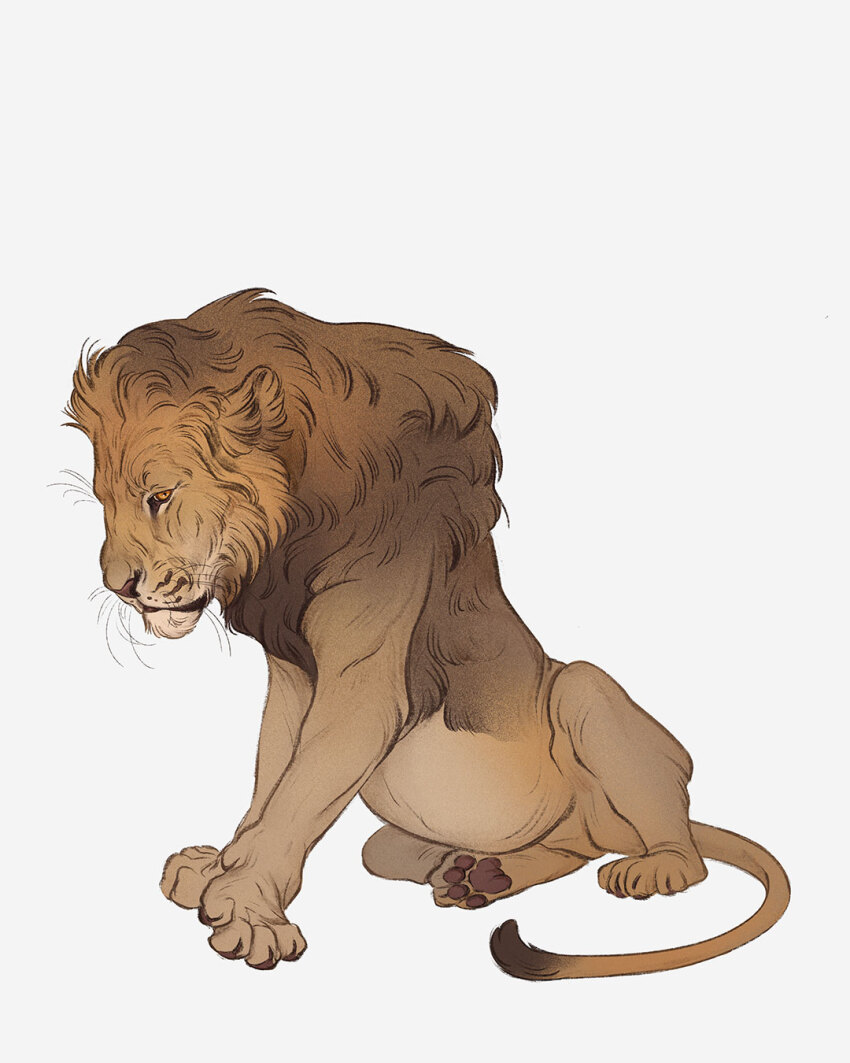 animal animal_focus closed_mouth from_side full_body highres lion looking_down no_humans norapotwora original pawpads simple_background sitting white_background