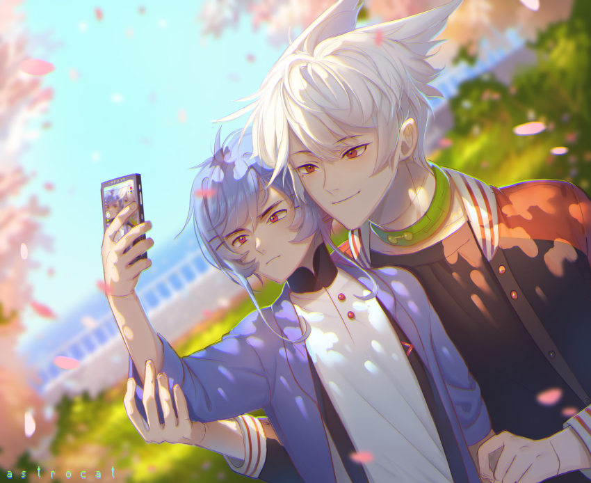 2boys animal_ears artist_name astrocatsama black_collar black_jacket black_shirt blue_cardigan blue_hair blue_sky blue_sleeves bridge buttons cardigan cat_ears cellphone cherry_blossoms closed_mouth coattails coda_(astrocatsama) collar collarbone collared_cardigan collared_shirt commentary day dutch_angle english_commentary falling_petals fingernails furrowed_brow green_collar hand_on_another&#039;s_arm high_collar highres holding holding_another&#039;s_arm holding_phone jacket jersey light_frown light_smile long_sleeves looking_at_object male_focus multiple_boys open_cardigan open_clothes open_jacket original outdoors petals phone red_eyes red_sleeves selfie shirt short_hair short_hair_with_long_locks sky three-quarter_sleeves smartphone summer taking_picture thick_eyebrows tree unova_(astrocatsama) upper_body white_hair white_shirt yaoi