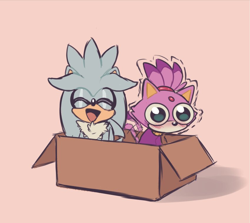 1boy 1girl absurdres black_eyes blaze_the_cat blush box closed_eyes commentary english_commentary furry furry_female furry_male highres in_box in_container karl0 silver_the_hedgehog simple_background smile sonic_(series) tail tail_wagging trembling