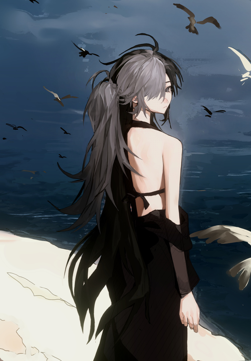 1girl absurdres bird black_dress black_hair character_request closed_mouth copyright_request dress expressionless from_behind grey_eyes hair_over_one_eye highres long_hair looking_at_viewer ocean sidelocks single_bare_shoulder single_off_shoulder solo twintails zadun