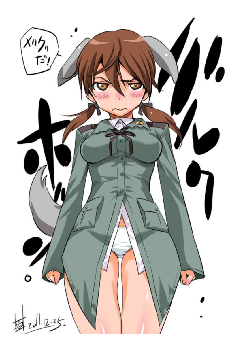 1girl animal_ears blush breasts brown_eyes brown_hair crotch_focus dog_ears dog_girl dog_tail gertrud_barkhorn highres inoue_sora medium_breasts military military_uniform no_pants panties photoshop_(medium) signature solo strike_witches tail twintails underwear wavy_mouth white_panties world_witches_series