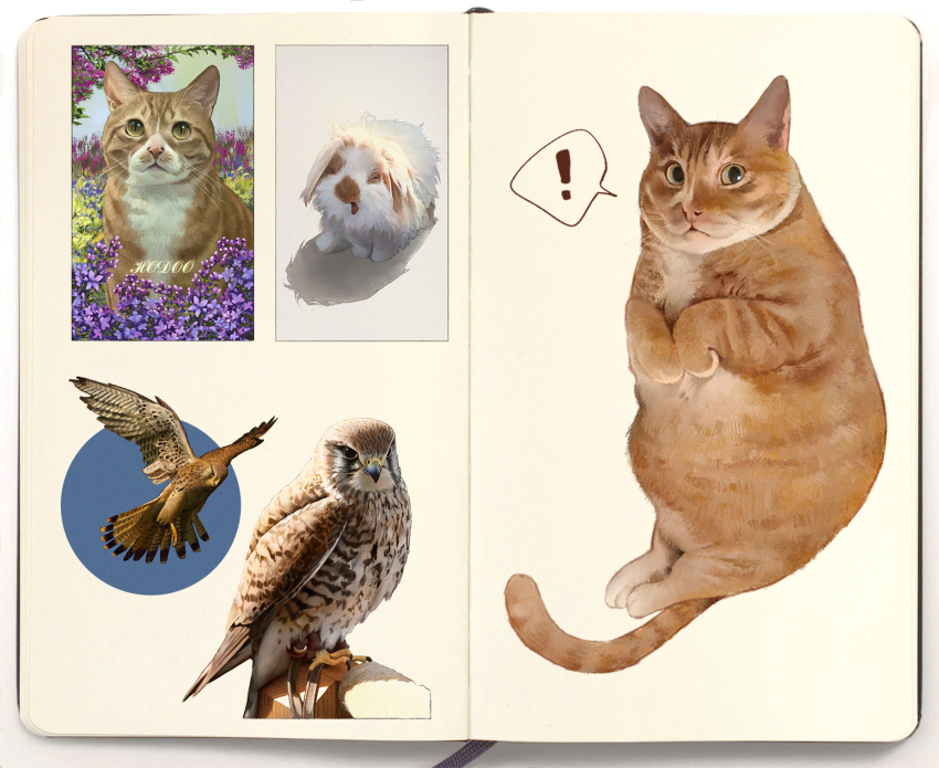 ! animal_focus bird brown_bird cat flower highres looking_at_viewer no_humans orange_cat original purple_flower rabbit sowasi spoken_exclamation_mark white_rabbit_(animal) yawning