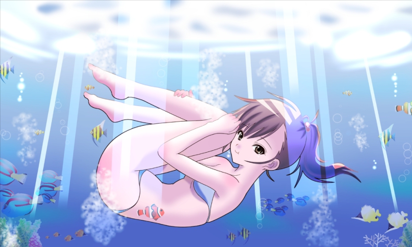 10s 1girl barefoot bikini blue_bikini brown_eyes brown_hair fetal_position fish freediving futami_mami idolmaster idolmaster_(classic) idolmaster_2 long_hair ocean p9 p9_(susisasimi) puffy_cheeks side_ponytail swimming swimsuit underwater