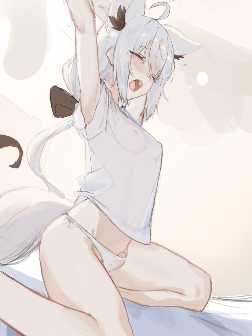 1futa absurdres ahoge animal_ear_fluff animal_ears arms_up ayeon breasts closed_eyes fox_ears fox_girl fox_tail from_side futanari highres hololive kneeling long_hair open_mouth panties penis penis_peek see-through_clothes see-through_shirt shirakami_fubuki shirt small_breasts solo stretching tail underwear virtual_youtuber white_hair white_panties white_shirt yawning
