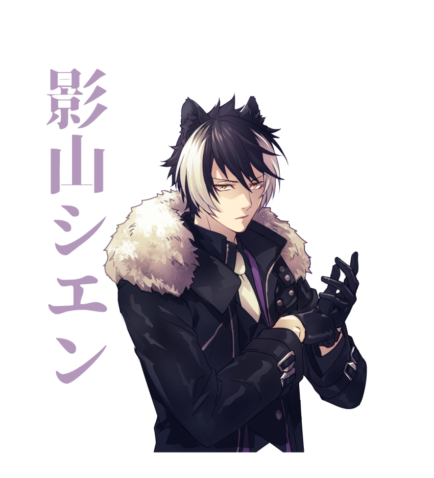 1boy adjusting_clothes adjusting_gloves animal_ears black_coat black_gloves black_hair black_shirt black_vest character_name coat commentary_request cropped_torso fur-trimmed_coat fur_trim gloves hair_between_eyes hands_up highres holostars jackal_boy jackal_ears kageyama_shien kageyama_shien_(1st_costume) male_focus multicolored_hair necktie shirt solo streaked_hair two-tone_hair ushi_424 vest virtual_youtuber white_hair white_necktie yellow_eyes