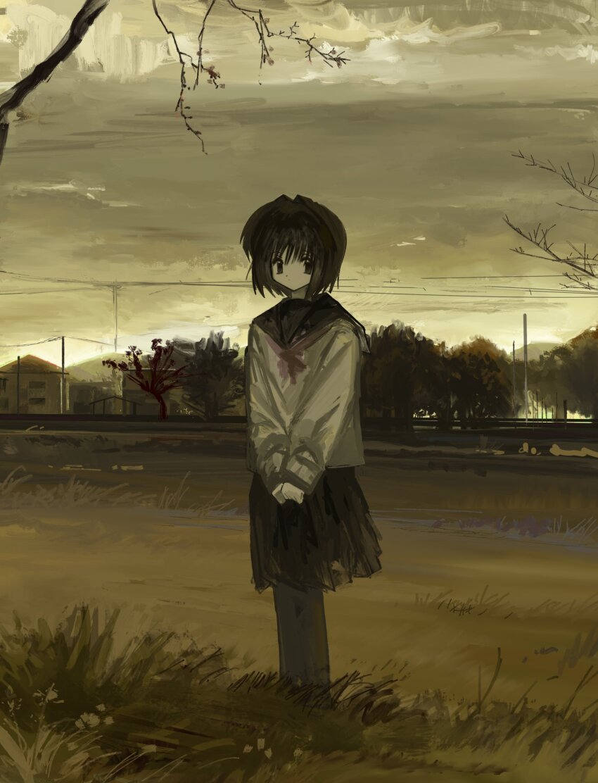 1girl black_skirt branch brown_hair closed_mouth cloud cloudy_sky dot_mouth evening grass grey_eyes grey_pantyhose highres kibishiihiekomi long_sleeves original outdoors pantyhose pleated_skirt power_lines scenery school_uniform serafuku shirt short_hair skirt sky solo standing tree white_shirt