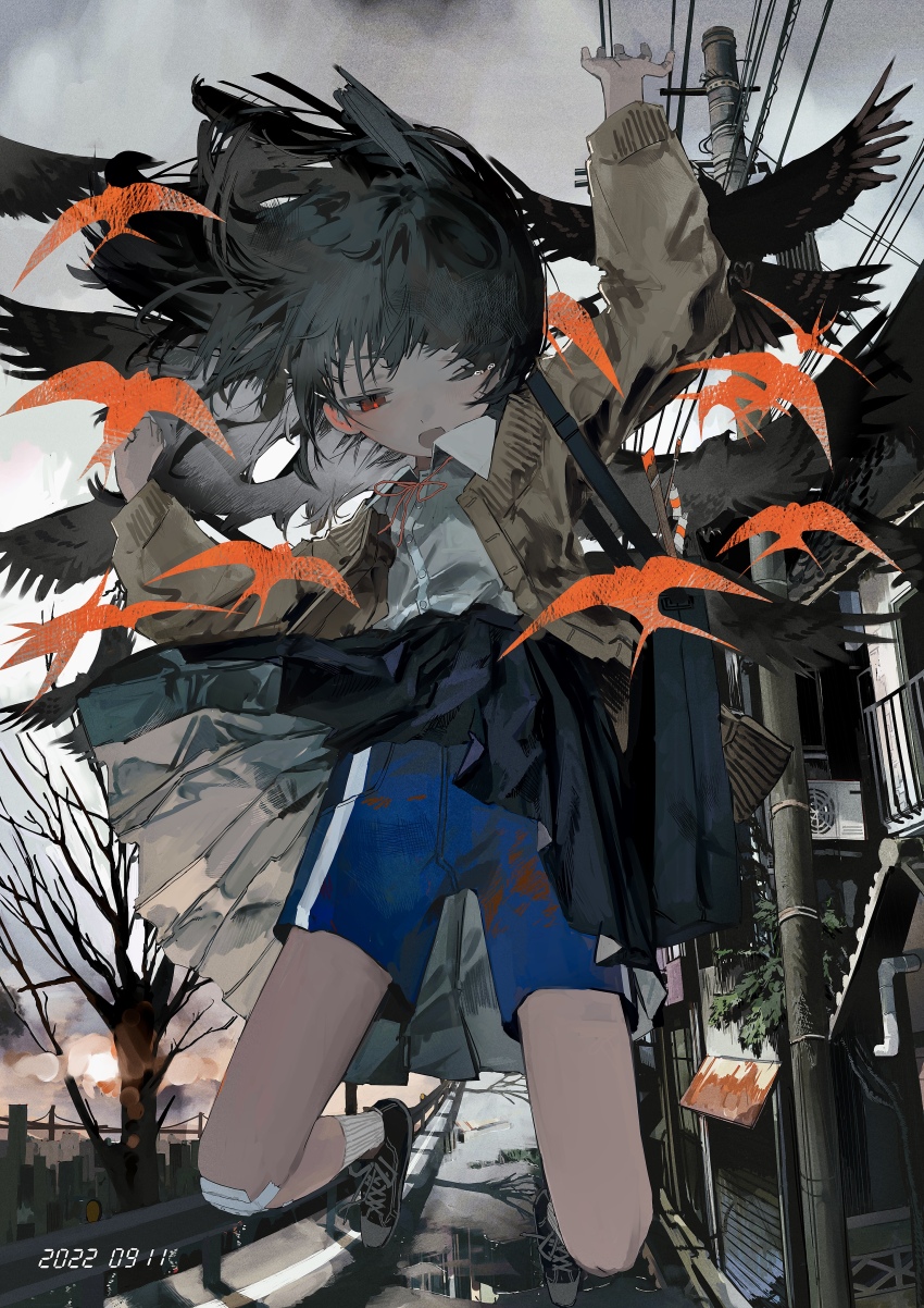 1girl absurdres arm_up bag bandage_on_knee bare_tree bird black_hair black_shoes blue_shorts brown_cardigan cardigan collared_shirt commentary crow dirty dirty_clothes dress_shirt feet_up floating_hair grey_sky gym_shorts hand_up highres long_sleeves midair neck_ribbon one_eye_closed open_mouth original outdoors overcast photo_date_watermark pleated_skirt puddle red_eyes red_pupils ribbon school_bag school_uniform segment_display shirt shoes shorts shoulder_bag silhouette skirt sky socks solo sun tears tekito_midori timestamp tree white_shirt white_socks