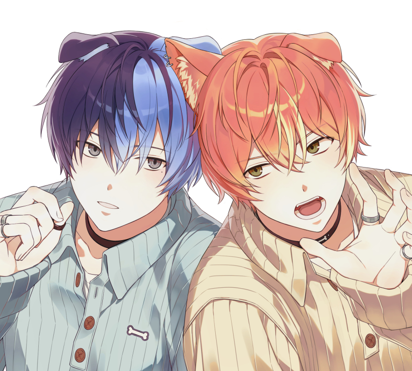 2boys alternate_costume animal_ear_fluff animal_ear_piercing animal_ears aoyagi_touya arm_up black_collar blue_hair brown_eyes cardigan choker claw_pose collar commentary dog_boy dog_ears double-parted_bangs eye_contact folded_ear grey_eyes hair_between_eyes hashtag-only_commentary highres jewelry long_sleeves looking_at_another looking_to_the_side male_focus multicolored_hair multiple_boys multiple_rings open_mouth orange_hair parted_lips pinstripe_pattern pinstripe_shirt project_sekai ray_(lthenray) ring shinonome_akito shirt side-by-side sideways_glance simple_background sleeve_cuffs sleeves_past_wrists split-color_hair teeth upper_body white_background wing_collar