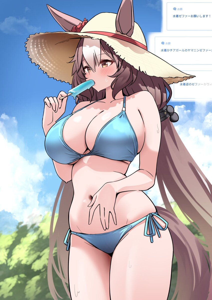 1girl alternate_costume animal_ears bikini blush breasts brown_eyes cleavage collarbone commentary_request food hat herohero_(higashi_no_dou) highres holding holding_food holding_popsicle horse_ears horse_girl horse_tail large_breasts low_twintails navel popsicle sky solo straw_hat swimsuit tail twintails umamusume yamanin_zephyr_(umamusume)