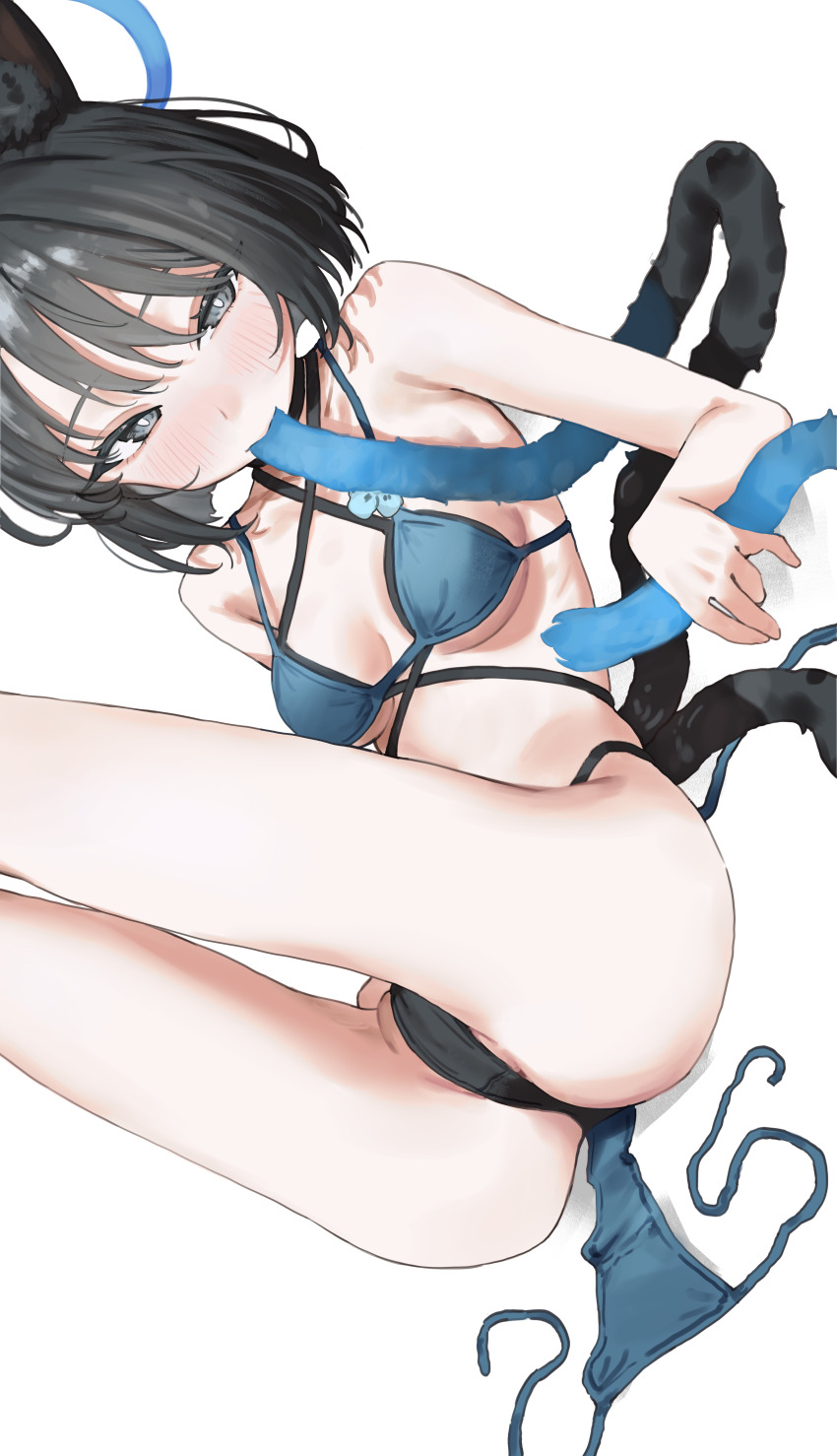 1girl absurdres animal_ears bikini black_bikini black_hair blue_archive blue_bikini blue_halo blush breasts bright_pupils cat_ears cat_girl cat_tail commentary_request halo hanakonenne highres kikyou_(blue_archive) kikyou_(swimsuit)_(blue_archive) medium_breasts mouth_hold multicolored_bikini multiple_tails official_alternate_costume simple_background sitting solo swimsuit tail thighs two-tone_bikini white_background white_pupils