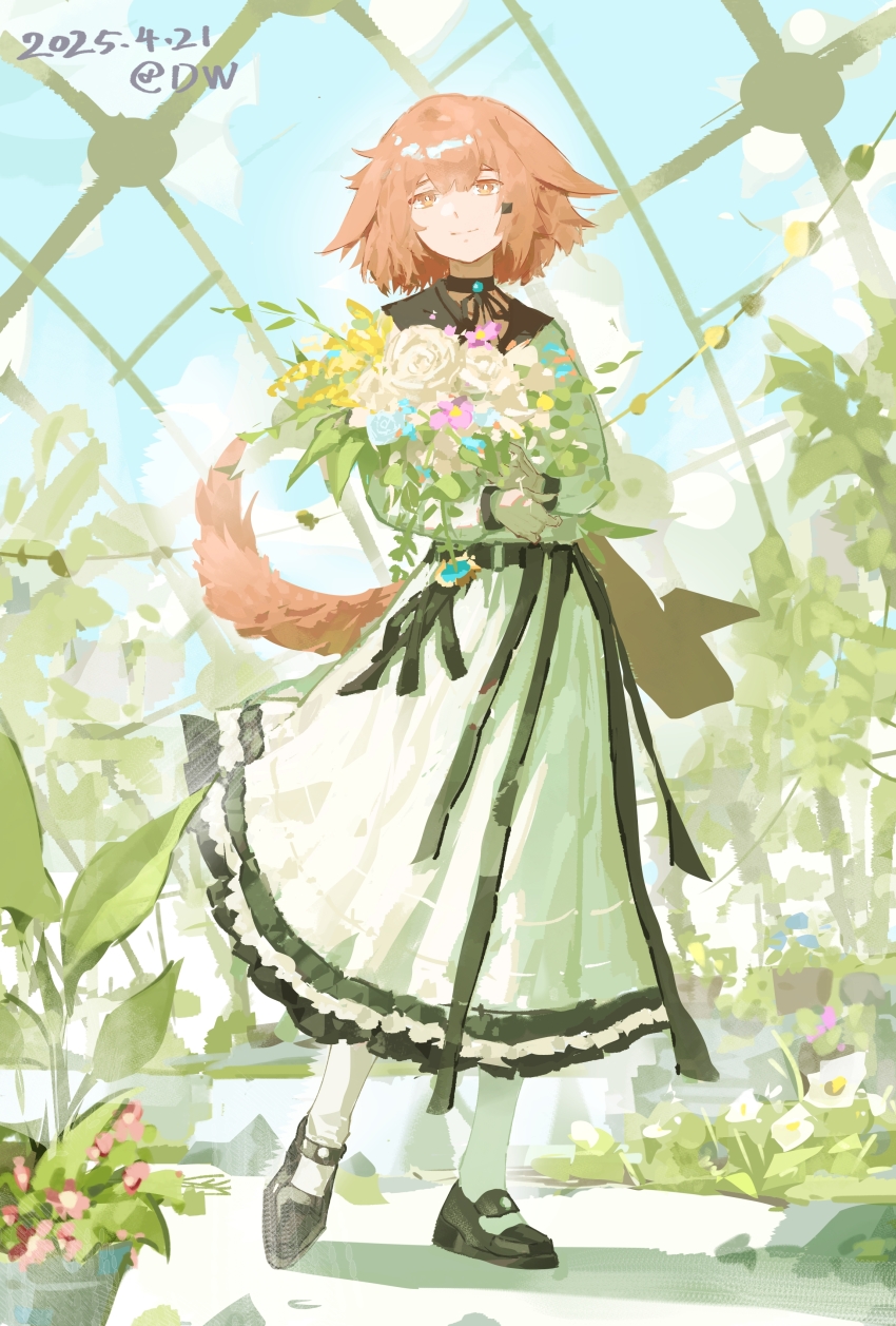 1girl absurdres alternate_costume arknights artist_name bouquet closed_mouth crownslayer_(arknights) dated dress floppy_ears flower greenhouse highres holding holding_bouquet hyena_ears hyena_girl hyena_tail looking_at_viewer pantyhose red_eyes red_hair rose short_hair smile solo standing white_dress white_flower white_pantyhose white_rose xiaozihaishixiaoma