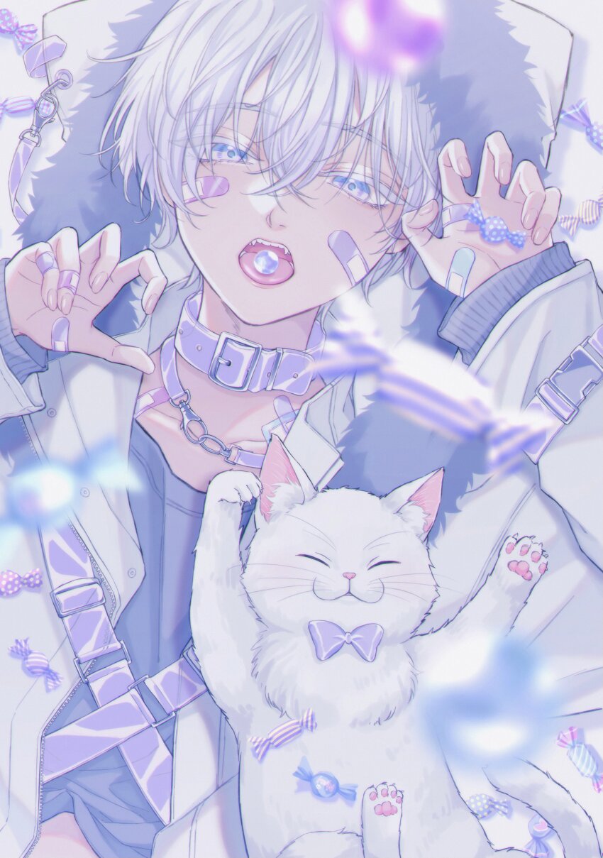 1boy absurdres bandaid bandaid_on_cheek bandaid_on_face bandaid_on_finger bandaid_on_hand bandaid_on_neck belt belt_collar black_shirt blue_eyes blurry blurry_foreground bow bowtie candy cat clothes_pull collar collarbone colored_eyelashes commentary fangs fingernails food food_in_mouth fur-trimmed_jacket fur_trim hair_between_eyes highres jacket jewelry looking_at_viewer lying male_focus midriff_peek moxamog necklace nose on_back open_mouth original paw_pose purple_collar see-through_collar shirt shirt_pull short_hair simple_background sweets teeth tongue tongue_out upper_body white_background white_cat white_eyelashes white_eyes white_hair white_jacket