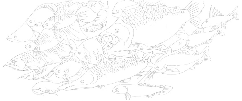 animal animal_focus catfish fish fish_request gar_(fish) greyscale highres lineart monochrome no_humans open_mouth original pike_(fish) sharp_teeth sido_(slipknot) teeth